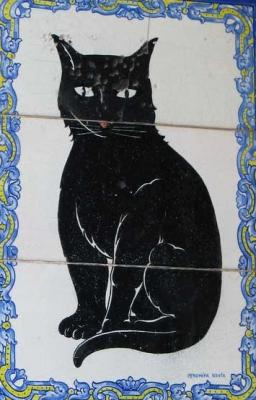 20131222210723-gato-negro-1.jpg